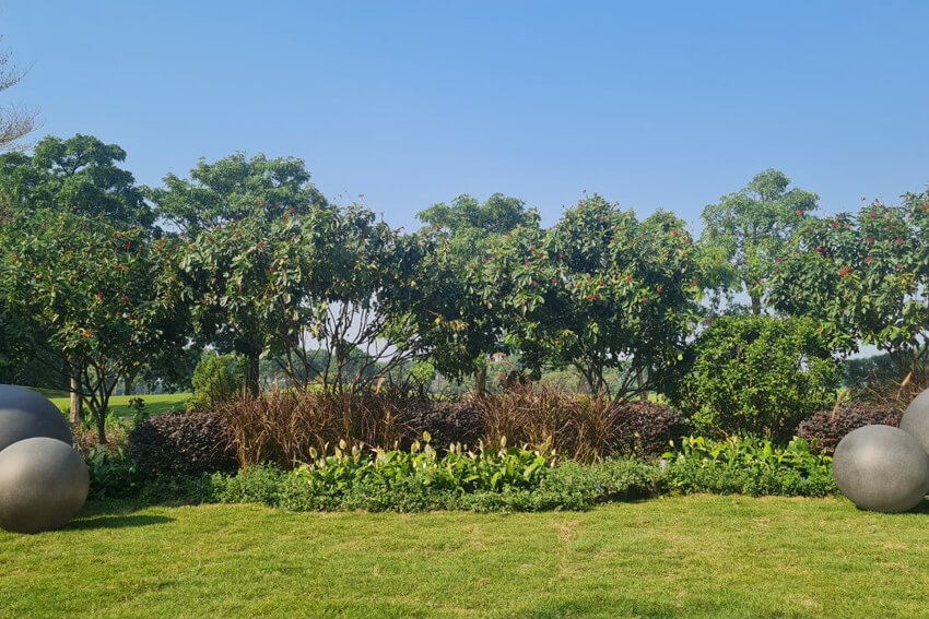 Thiết kế cảnh quan - Botanica Landscaping sẽ tạo ra kết quả phù hợp với phong cách của bạn