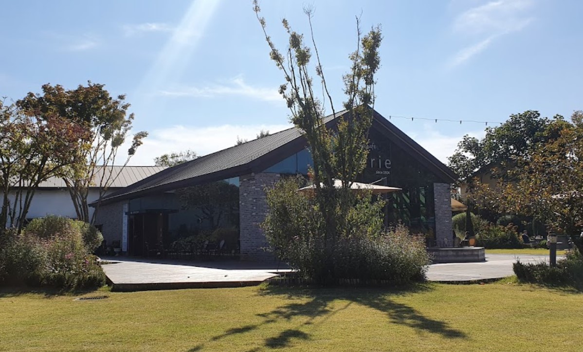 Thiết kế cảnh quan - Botanica Landscaping sẽ tạo ra kết quả phù hợp với phong cách của bạn